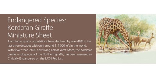 Endangered Species: Kordofan Giraffe
